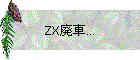 ZX廃車...