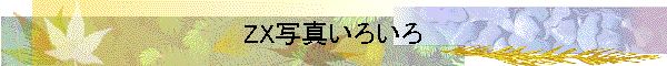 ZX写真いろいろ
