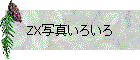 ZX写真いろいろ