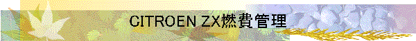 CITROEN ZX燃費管理