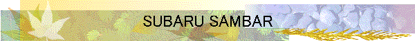 SUBARU SAMBAR