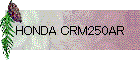 HONDA CRM250AR