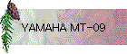 YAMAHA MT-09