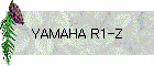 YAMAHA R1-Z