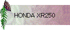 HONDA XR250