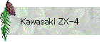 Kawasaki ZX-4