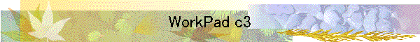 WorkPad c3